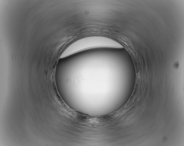 X0000090700423200707200933