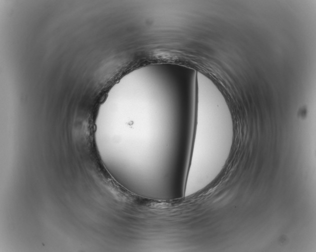 X0000090700424200707200933