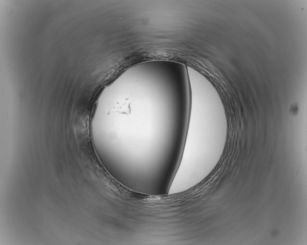 X0000090700425200707200933