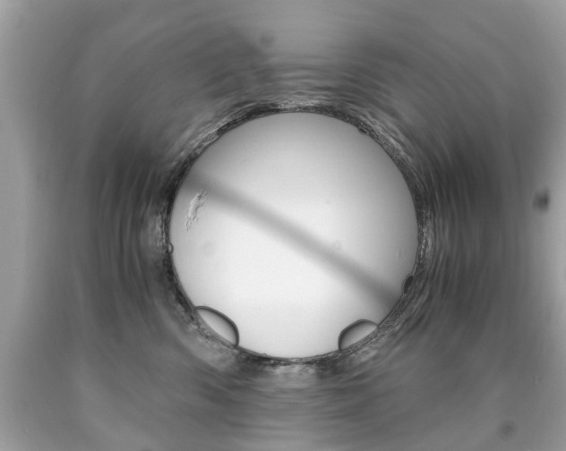 X0000090700426200707200933