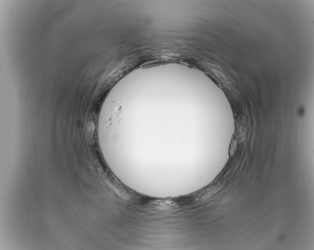 X0000090700427200707200933