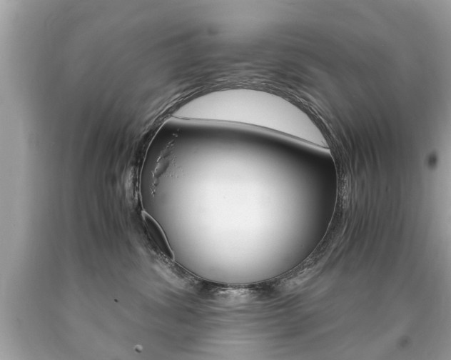 X0000090700428200707200933