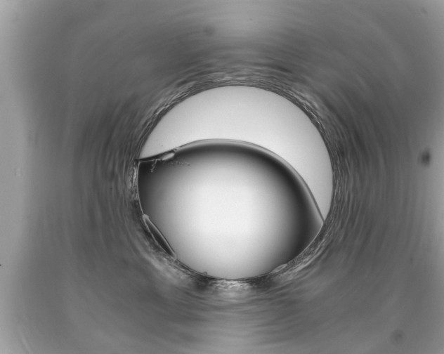 X0000090700429200707200933
