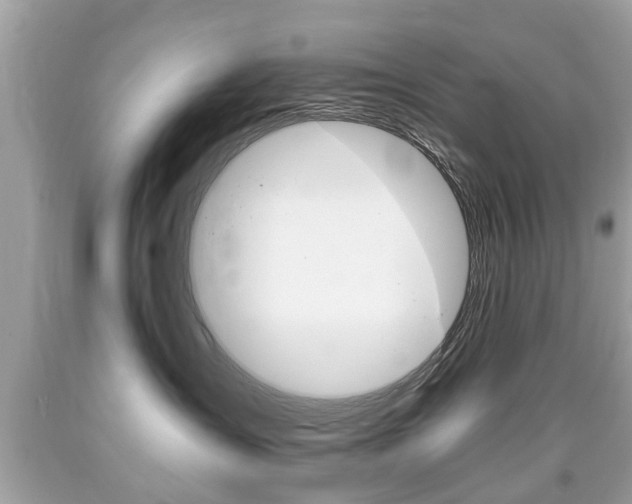 X0000090700431200707200933