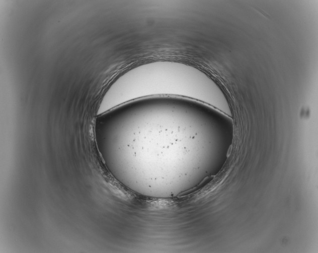 X0000090700432200707200933