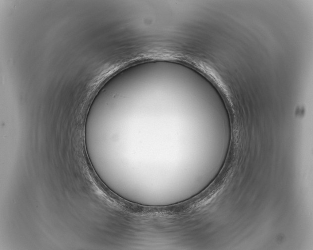 X0000090700433200707200932