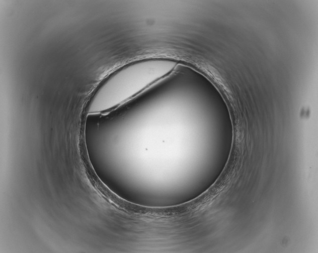 X0000090700434200707200932