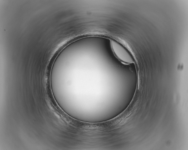 X0000090700435200707200932
