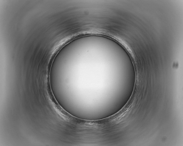 X0000090700437200707200932