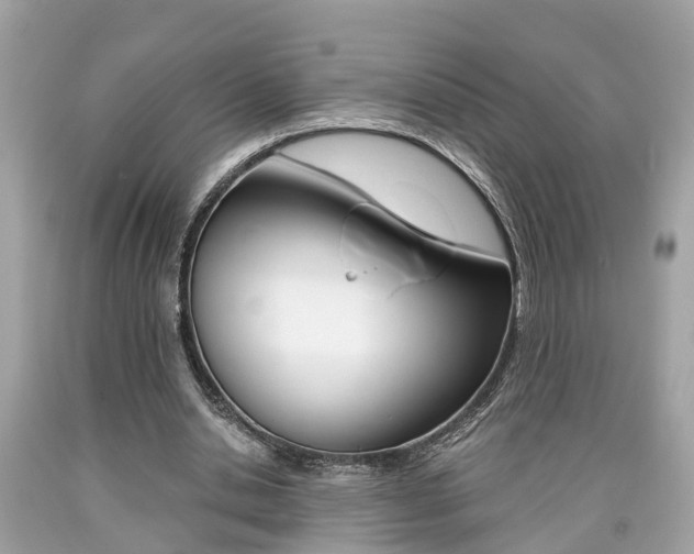 X0000090700438200707200932