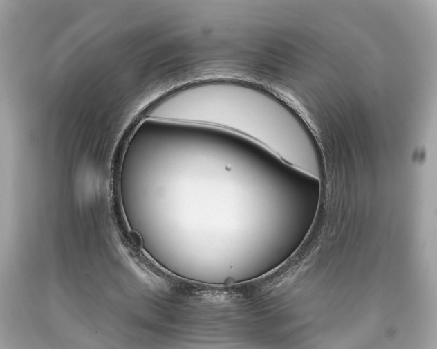 X0000090700439200707200932