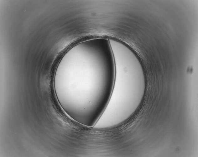X0000090700440200707200932