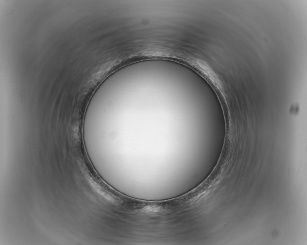X0000090700441200707200932