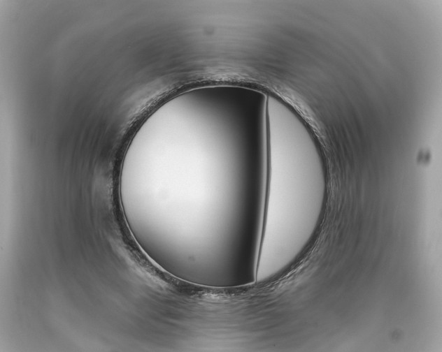 X0000090700442200707200932