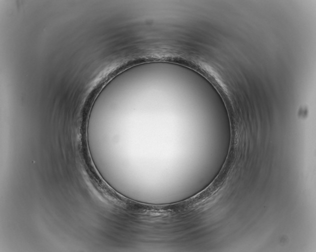 X0000090700443200707200932