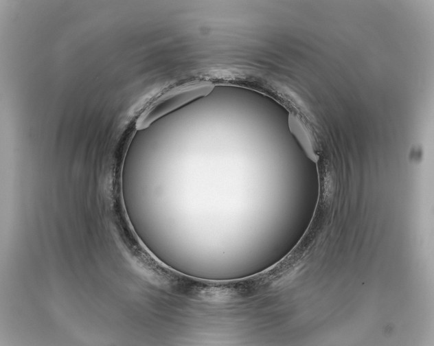 X0000090700444200707200932