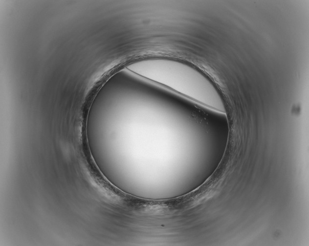 X0000090700446200707200932