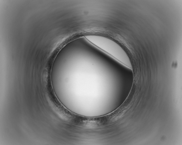 X0000090700448200707200932