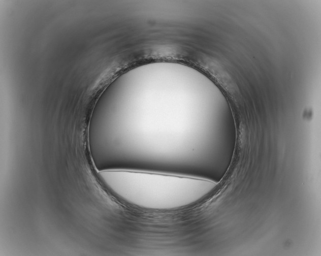 X0000090700449200707200932