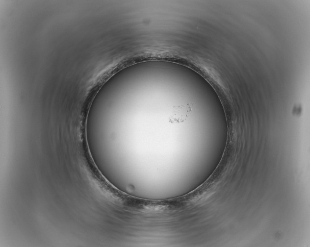 X0000090700450200707200932