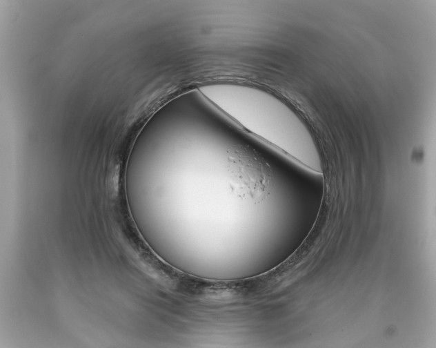 X0000090700454200707200932
