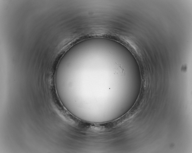 X0000090700455200707200932