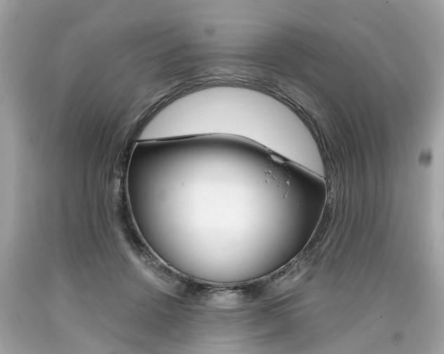 X0000090700456200707200932
