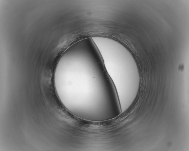 X0000090700458200707200932