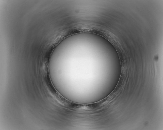X0000090700460200707200933
