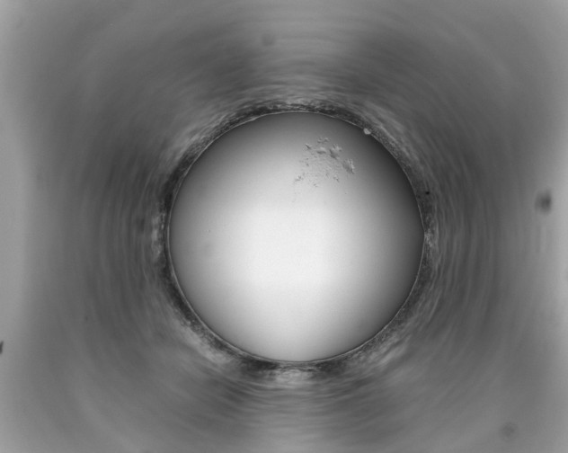 X0000090700462200707200933