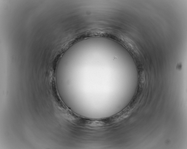 X0000090700463200707200933