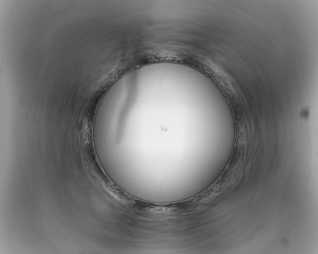 X0000090700465200707200933
