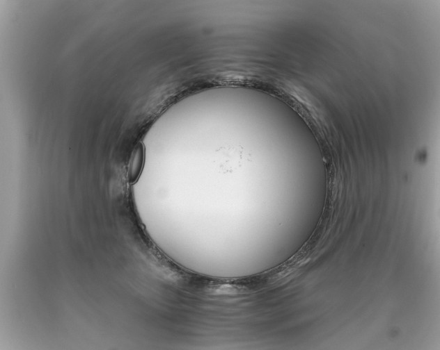 X0000090700467200707200933