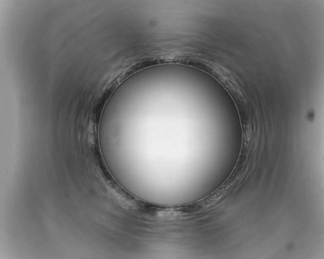 X0000090700470200707200933