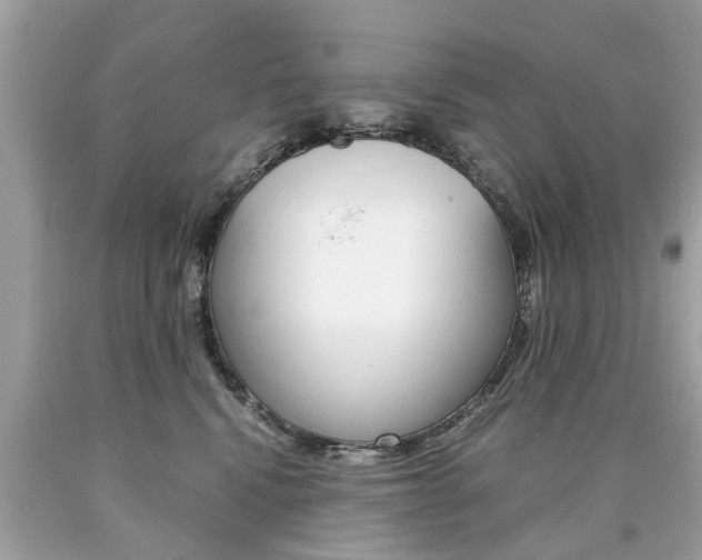 X0000090700472200707200933