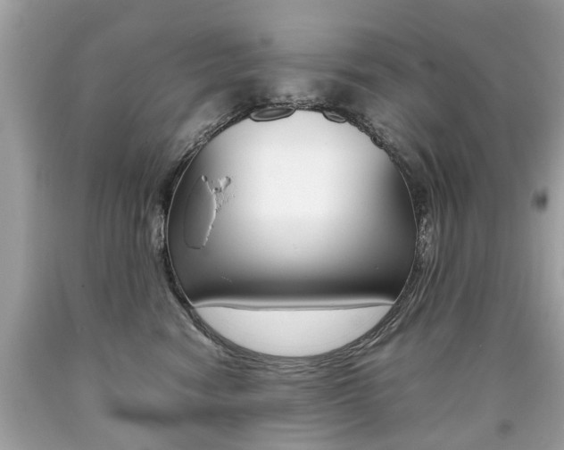 X0000090700474200707200933