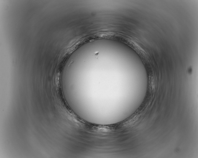 X0000090700475200707200933