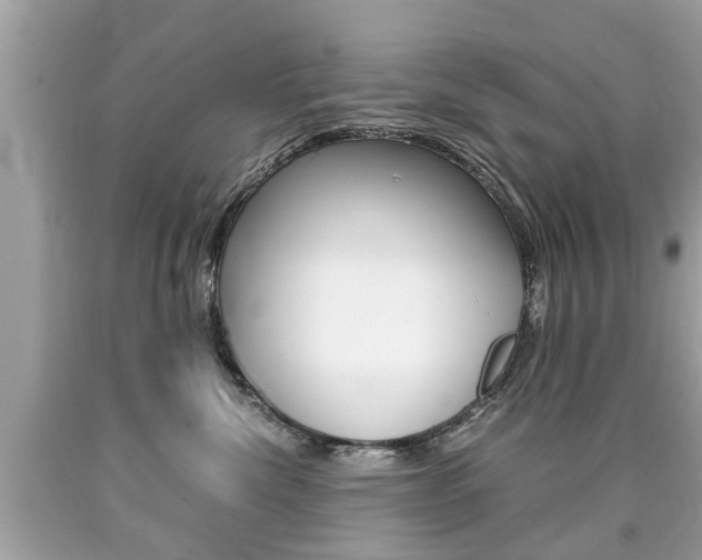 X0000090700476200707200933