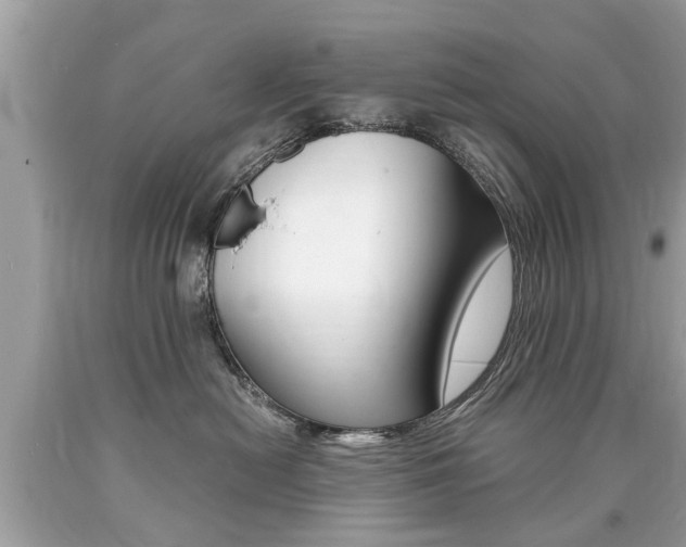 X0000090700478200707200933