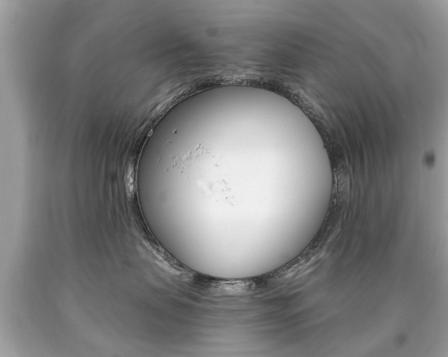 X0000090700479200707200933