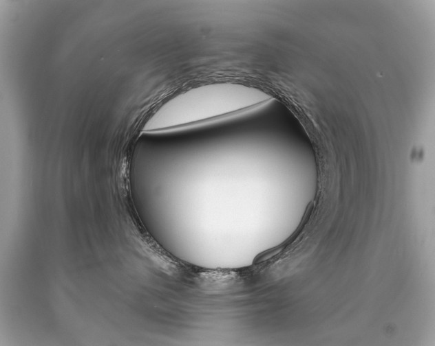 X0000090700480200707200933