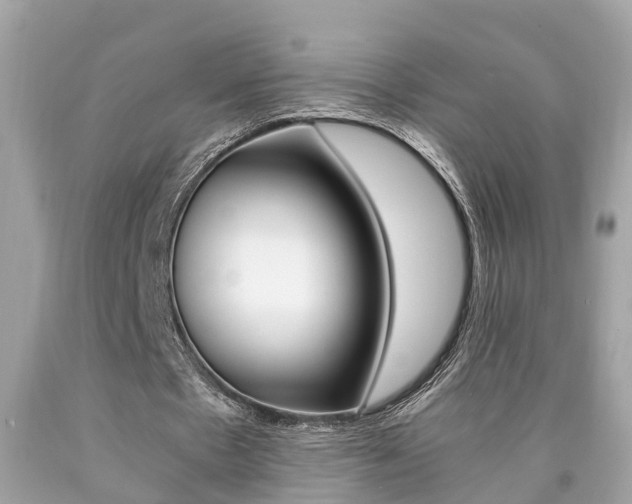 X0000090700481200707200932
