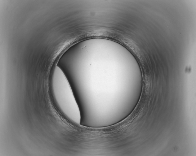 X0000090700482200707200932