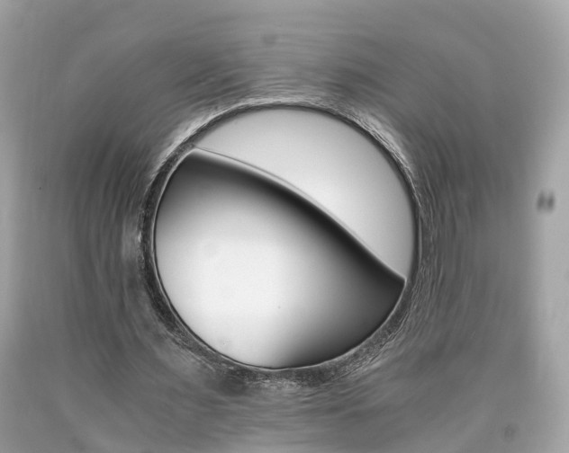 X0000090700483200707200932
