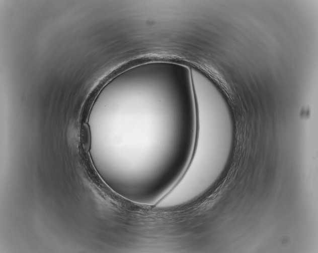 X0000090700484200707200932