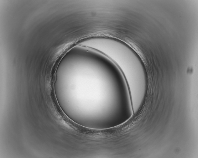 X0000090700485200707200932