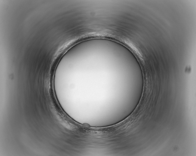 X0000090700486200707200932