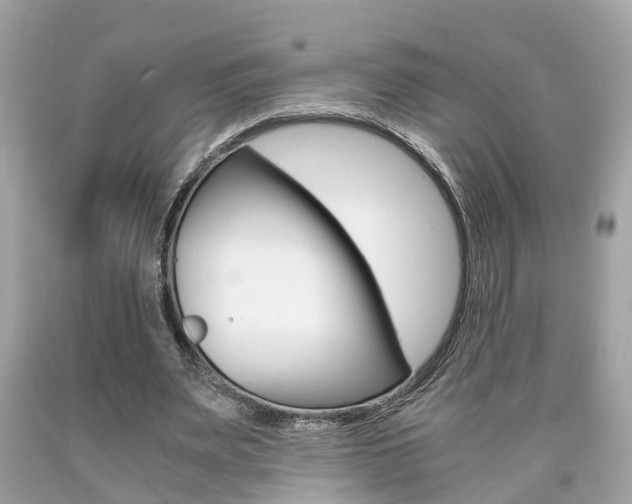 X0000090700487200707200932