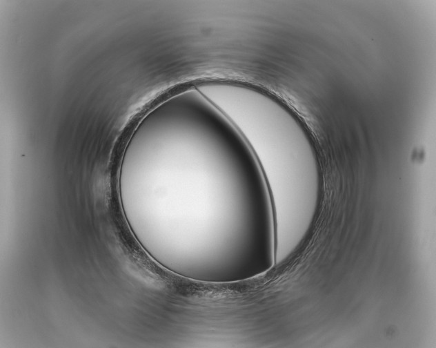 X0000090700488200707200932