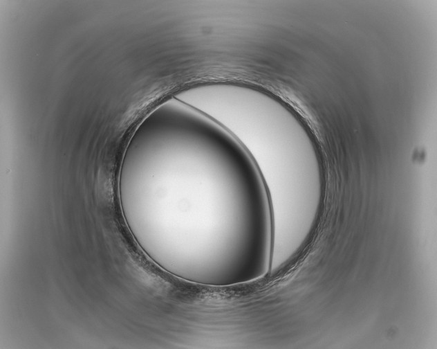 X0000090700489200707200932
